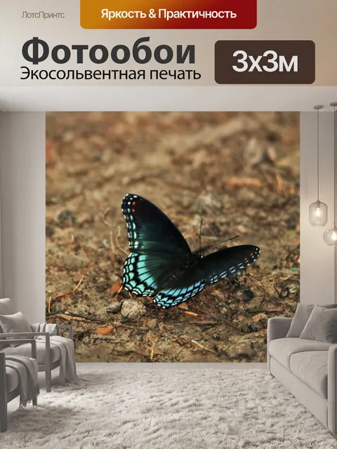 Фотообои Красная пятнистая фиолетовая бабочка 2