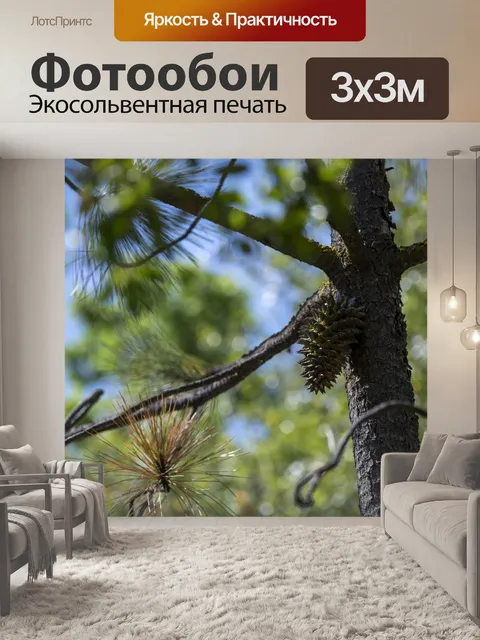 Фотообои Сосновая шишка