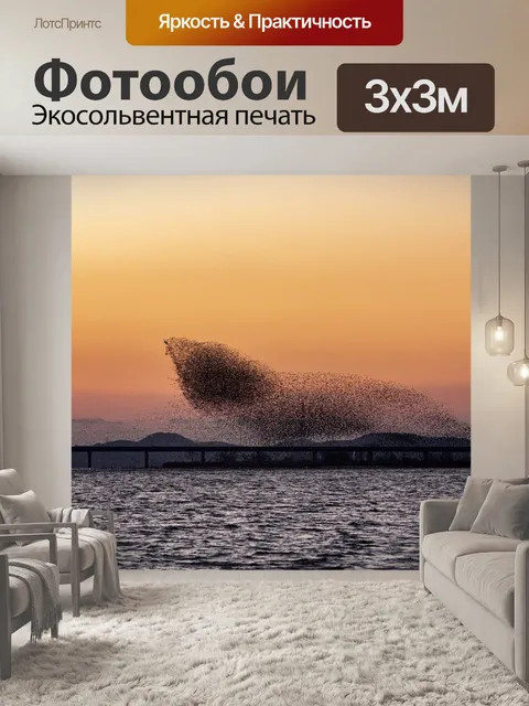 Фотообои Новые функции