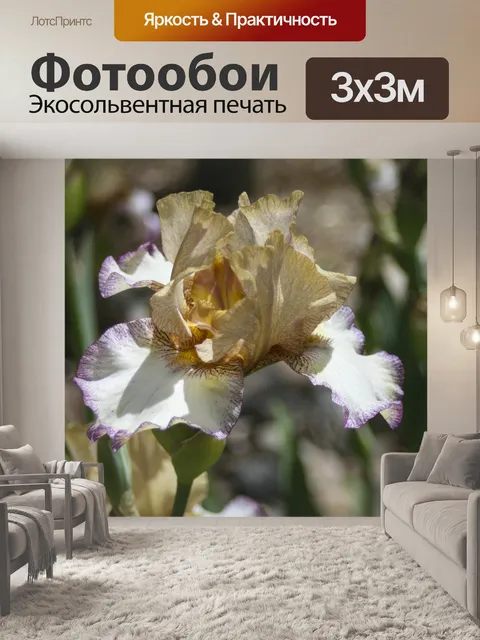 Фотообои Ирис