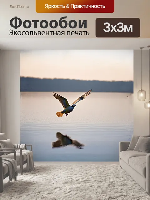 Фотообои корелла, летящая над озером в лучах утреннего света
