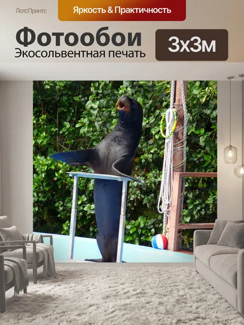 Фотообои "Морской лев" Показать
