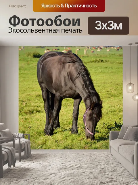 Фотообои Лошадь
