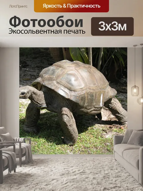 Фотообои Гигант