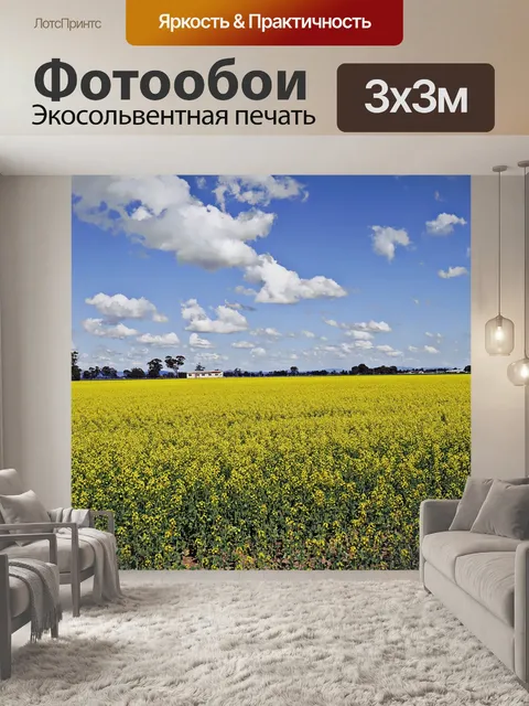Фотообои Рапс поле