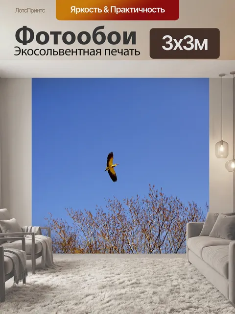 Фотообои Птица