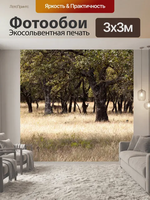 Фотообои Олень