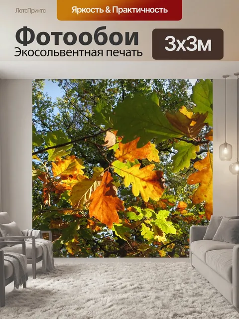 Фотообои Дубовые листья