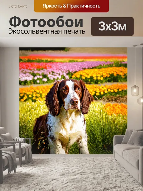 Фотообои спрингер спаниель, с его выразительными карими глазами, внимательно смотрит на весенний пейзаж, усыпанный…