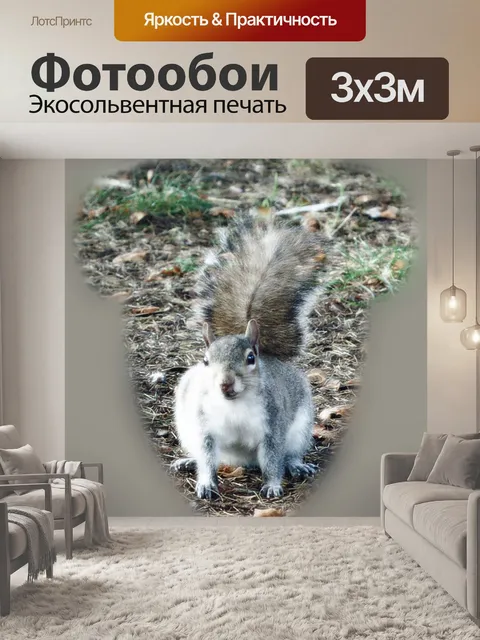 Фотообои Подставил белка