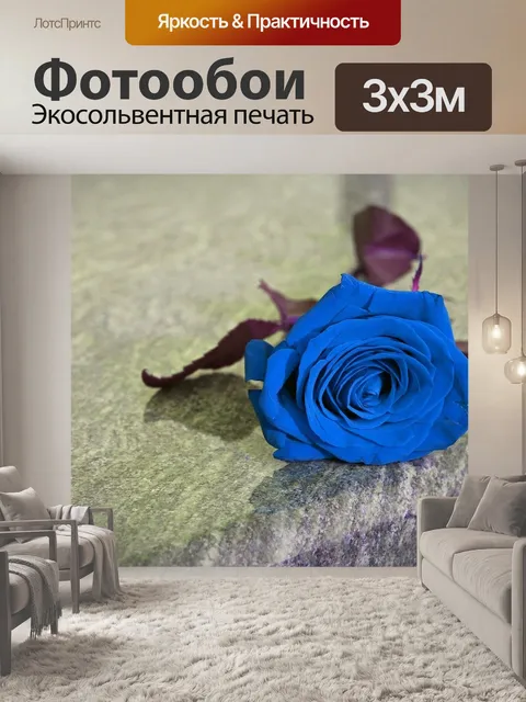Фотообои Голубая роза на могиле
