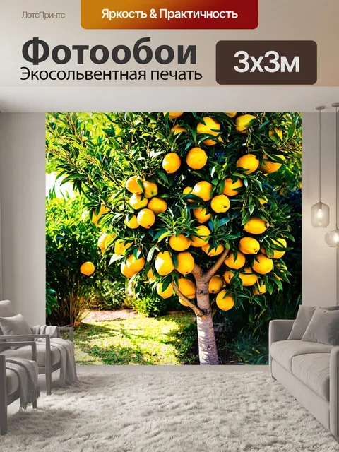 Фотообои дерево с желтыми лимонами, охваченными солнечными лучами, среди уголков сада