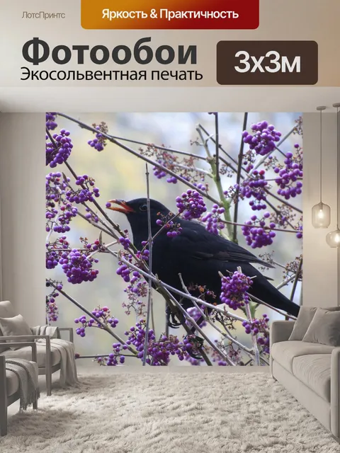 Фотообои Буш