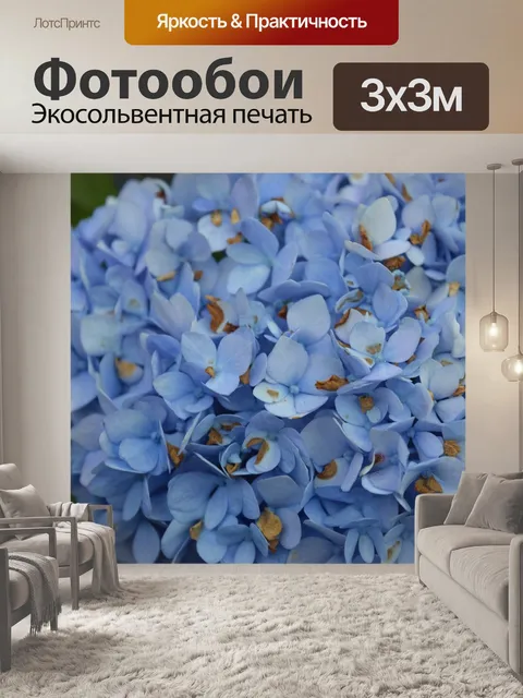 Фотообои Гортензия