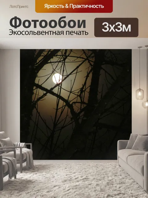 Фотообои Ночное небо