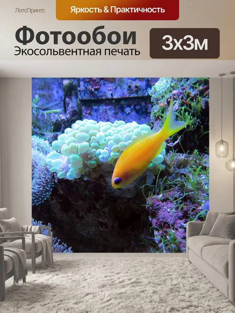 Фотообои Коралл