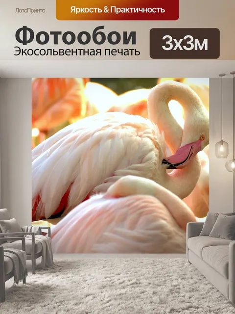 Фотообои Фламинго
