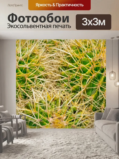 Фотообои Золотые бочки кактуса