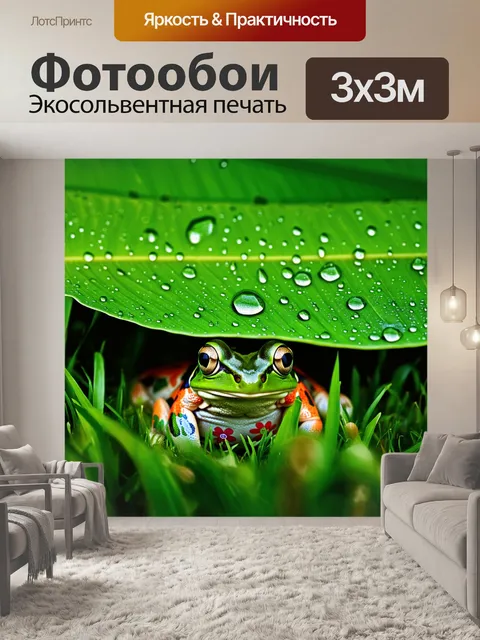 Фотообои лягушка, прячущаяся под большим зеленым листом, в лужайке с каплями росы