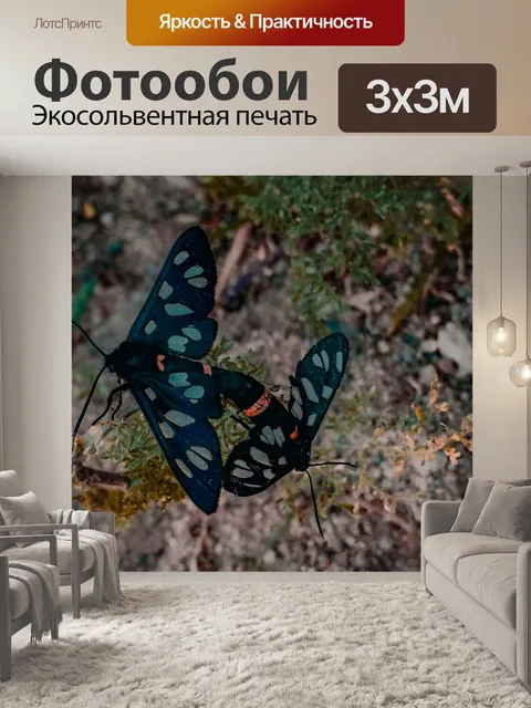 Фотообои Photo