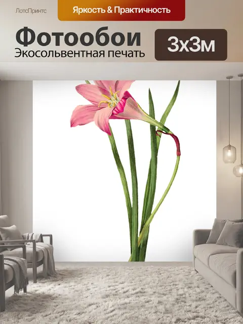 Фотообои Клипарт Цветочная роспись искусства
