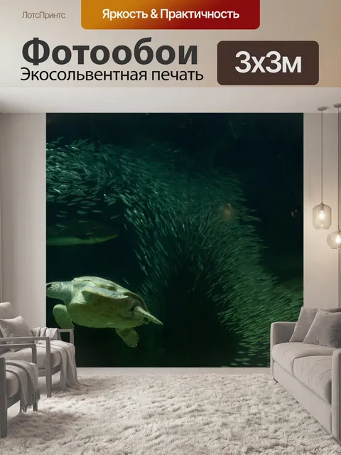 Фотообои Черепаха