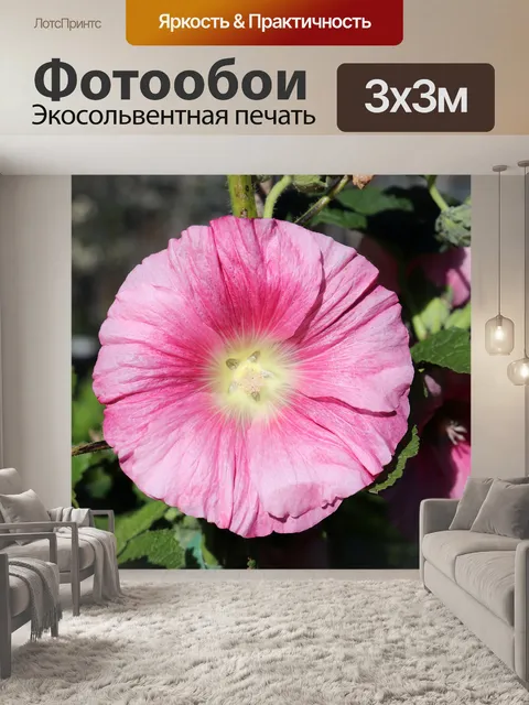 Фотообои Холлихок Цветочная Alcea Rosea