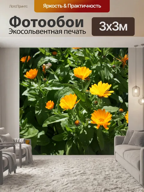 Фотообои Солнечный цветы календулы