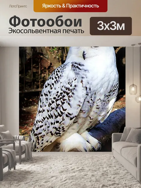 Фотообои Снежная сова