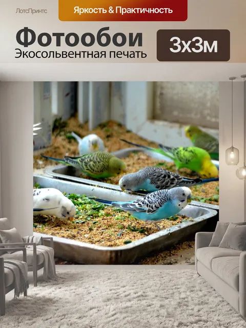 Фотообои Птицы Кормление