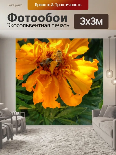 Фотообои Две пчелы на цветке