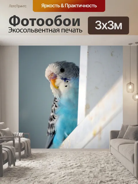 Фотообои Волнистый попугайчик Скрытие