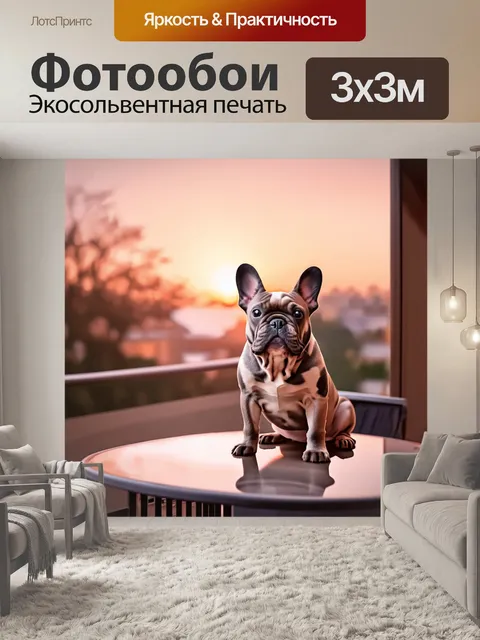 Фотообои романтический вечер: французский бульдог, сидящий на террасе кафе с видом на закат