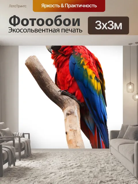 Фотообои алых ара изолированных