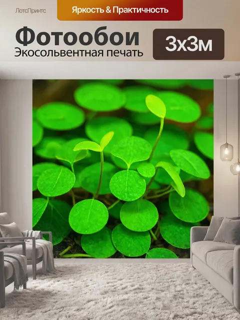 Фотообои зеленые в стиле флэт, на тему возрождения природы, новые побеги и листья