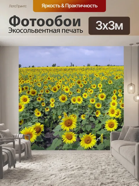 Фотообои Полями подсолнечника