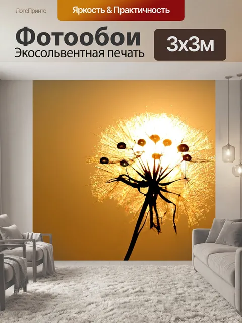 Фотообои Одуванчик