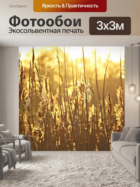 Фотообои Тростник