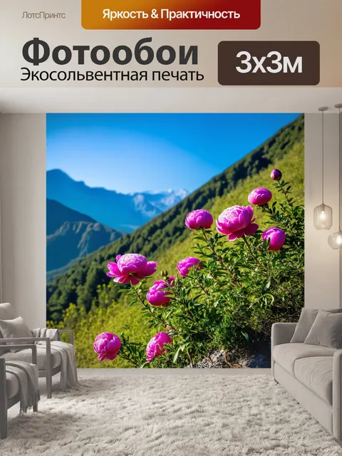 Фотообои пионы, растущие на горном склоне, с фоном величественных гор и ясного неба
