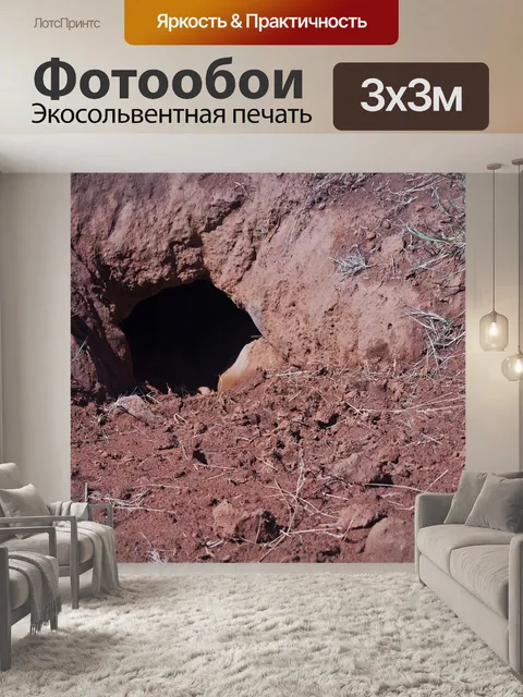 Фотообои туннель, вырытый диким животным