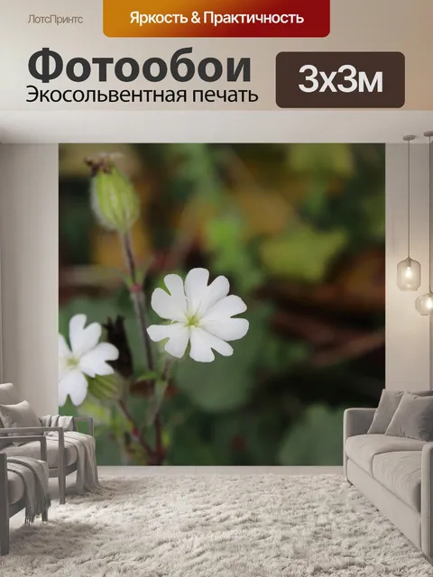 Фотообои Цветы