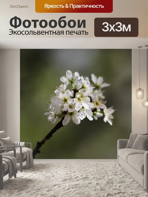 Фотообои Расцветает