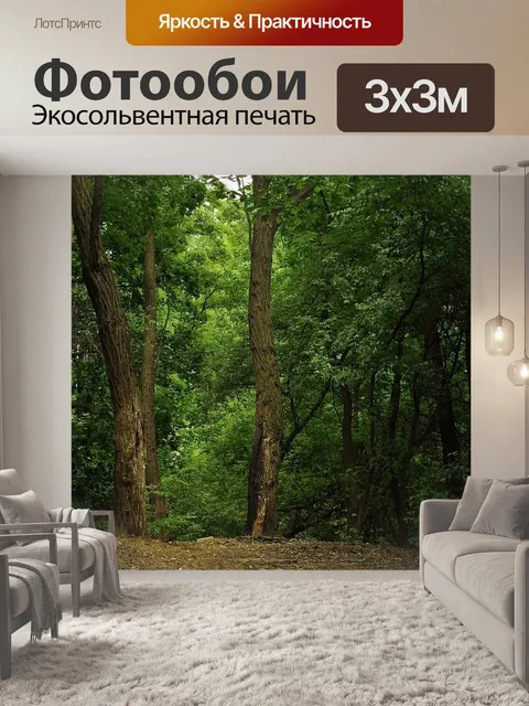 Фотообои Лес