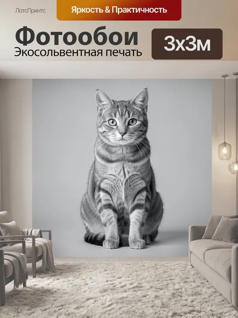300 × 300 см · Экосольвентная печать