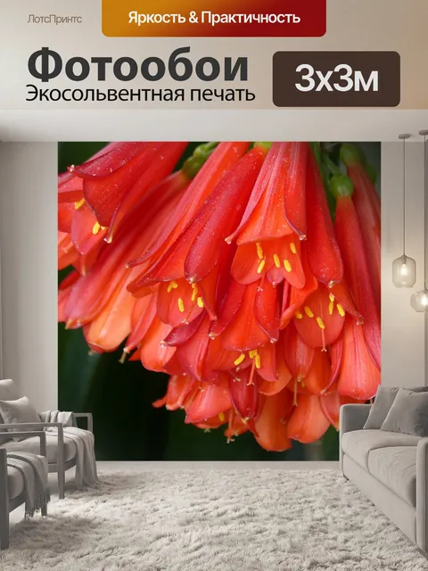 Фотообои Цветок