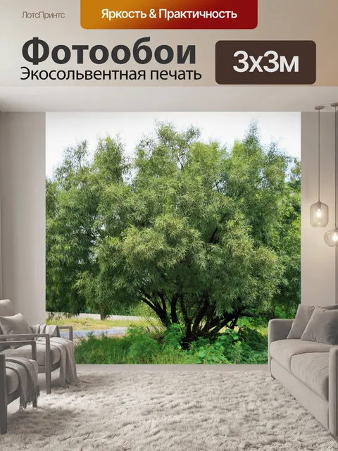 Фотообои Karee дерево рядом с дорогой