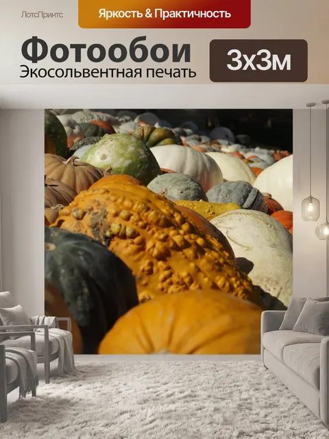 Фотообои Тыквы разнообразие