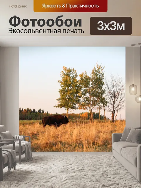 Фотообои Одинокий буйвол