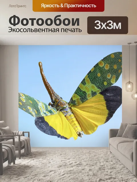Фотообои бабочка