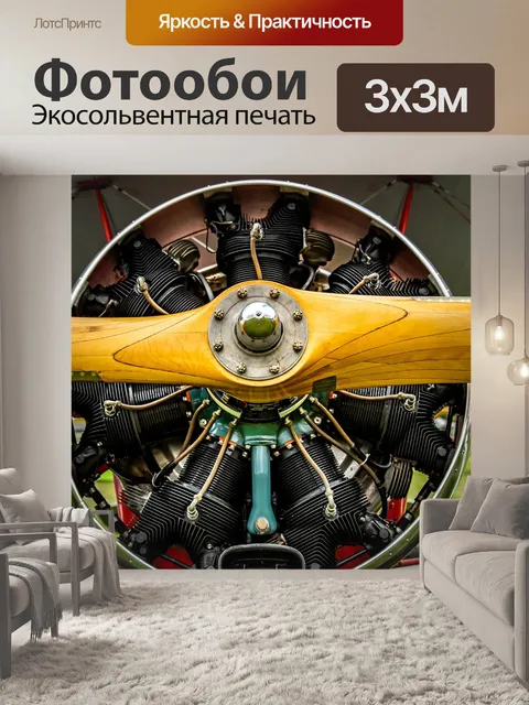 Фотообои Биплан